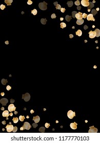 Gold seashells vector, golden pearl bivalved mollusks. Ocean scallop, bivalve pearl shell, marine mollusk isolated on black wild life nature background. Trendy gold sea shell graphics.
