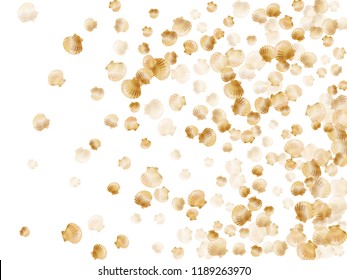 Gold seashells vector, golden pearl bivalved mollusks. Underwater scallop, bivalve pearl shell, marine mollusk isolated on white wild life nature background. Trendy gold sea shell design.