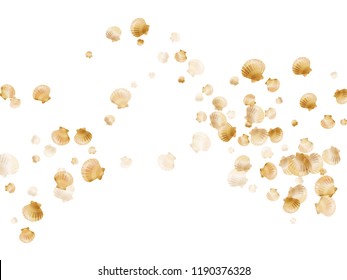 Gold seashells vector, golden pearl bivalved mollusks. Underwater scallop, bivalve pearl shell, marine mollusk isolated on white wild life nature background. Stylish gold sea shell vector.