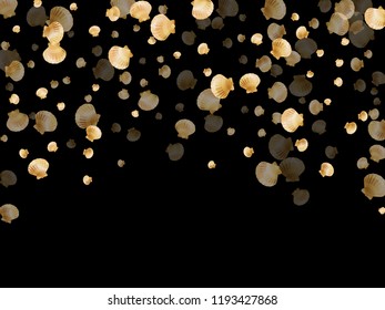 Gold seashells vector, golden pearl bivalved mollusks. Aquarium scallop, bivalve pearl shell, marine mollusk isolated on black wild life nature background. Chic gold sea shell vector.