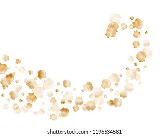 Gold seashells vector, golden pearl bivalved mollusks. Cute scallop, bivalve pearl shell, marine mollusk isolated on white wild life nature background. Trendy gold sea shell illustration.
