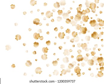 Gold seashells vector, golden pearl bivalved mollusks. Aquarium scallop, bivalve pearl shell, marine mollusk isolated on white wild life nature background. Rich gold sea shell design.