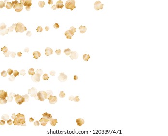 Gold seashells vector, golden pearl bivalved mollusks. Sea scallop, bivalve pearl shell, marine mollusk isolated on white wild life nature background. Chic gold sea shell design.