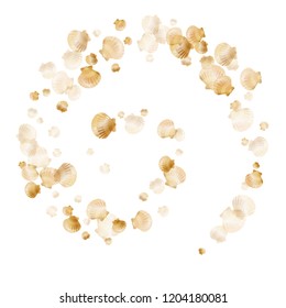 Gold seashells vector, golden pearl bivalved mollusks. Aquarium scallop, bivalve pearl shell, marine mollusk isolated on white wild life nature background. Chic gold sea shell graphics.