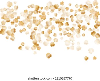 Gold seashells vector, golden pearl bivalved mollusks. Cute scallop, bivalve pearl shell, marine mollusk isolated on white wild life nature background. Rich gold sea shell graphics.