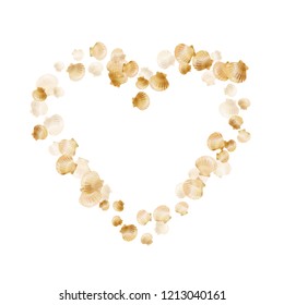 Gold seashells vector, golden pearl bivalved mollusks. Aquarium scallop, bivalve pearl shell, marine mollusk isolated on white wild life nature background. Cool gold sea shell vector.