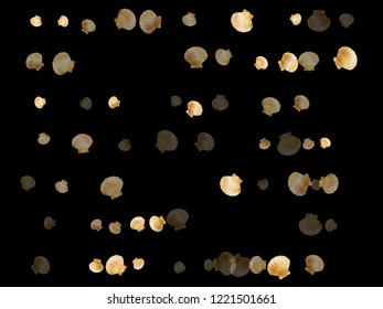 Gold seashells vector, golden pearl bivalved mollusks. Cute scallop, bivalve pearl shell, marine mollusk isolated on black wild life nature background. Chic gold sea shell vector.
