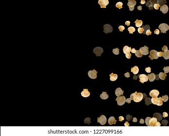 Gold seashells vector, golden pearl bivalved mollusks. Macro scallop, bivalve pearl shell, marine mollusk isolated on black wild life nature background. Cool gold sea shell design.