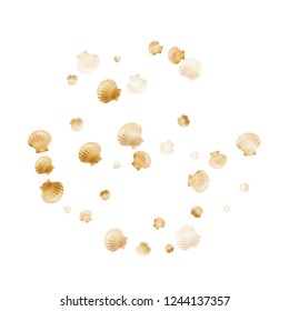 Gold seashells vector, golden pearl bivalved mollusks. Sea scallop, bivalve pearl shell, marine mollusk isolated on white wild life nature background. Trendy gold sea shell illustration.