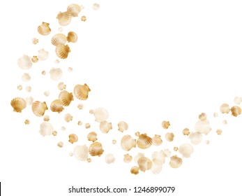 Gold seashells vector, golden pearl bivalved mollusks. Exotic scallop, bivalve pearl shell, marine mollusk isolated on white wild life nature background. Chic gold sea shell design.