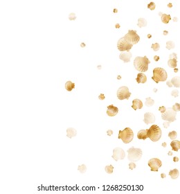 Gold seashells vector, golden pearl bivalved mollusks. Aquatic scallop, bivalve pearl shell, marine mollusk isolated on white wild life nature background. Chic gold sea shell graphics.