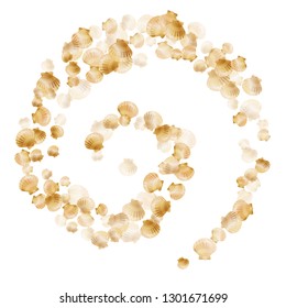 Gold seashells vector, golden pearl bivalved mollusks. Exotic scallop, bivalve pearl shell, marine mollusk isolated on white wild life nature background. Chic gold sea shell graphics.