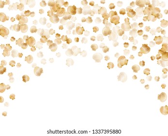 Gold seashells vector, golden pearl bivalved mollusks. Sea scallop, bivalve pearl shell, marine mollusk isolated on white wild life nature background 