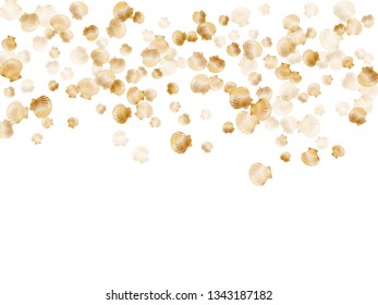 Gold seashells vector, golden pearl bivalved mollusks. Cartoon scallop, bivalve pearl shell, marine mollusk isolated on white wild life nature background. Trendy gold sea shell design.