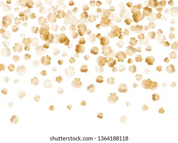 Gold seashells vector, golden pearl bivalved mollusks. Macro scallop, bivalve pearl shell, marine mollusk isolated on white wild life nature background. Chic gold sea shell illustration.