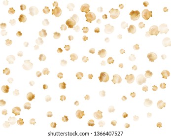 Gold seashells vector, golden pearl bivalved mollusks. Sea scallop, bivalve pearl shell, marine mollusk isolated on white wild life nature background. Trendy gold sea shell vector.