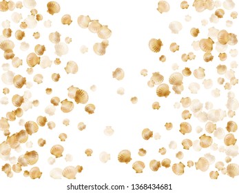 Gold seashells vector, golden pearl bivalved mollusks. Cute scallop, bivalve pearl shell, marine mollusk isolated on white wild life nature background. Stylish gold sea shell vector.