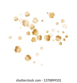 Gold seashells vector, golden pearl bivalved mollusks. Underwater scallop, bivalve pearl shell, marine mollusk isolated on white wild life nature background. Chic gold sea shell design.