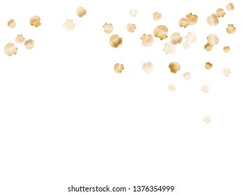 Gold seashells vector, golden pearl bivalved mollusks. Macro scallop, bivalve pearl shell, marine mollusk isolated on white wild life nature background. Cool gold sea shell vector.