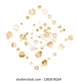 Gold seashells vector, golden pearl bivalved mollusks. Cartoon scallop, bivalve pearl shell, marine mollusk isolated on white wild life nature background. Chic gold sea shell vector.