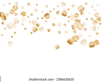Gold seashells vector, golden pearl bivalved mollusks. Cartoon scallop, bivalve pearl shell, marine mollusk isolated on white wild life nature background. Stylish gold sea shell vector.