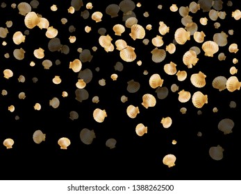 Gold seashells vector, golden pearl bivalved mollusks. Exotic scallop, bivalve pearl shell, marine mollusk isolated on black wild life nature background. Stylish gold sea shell graphics.