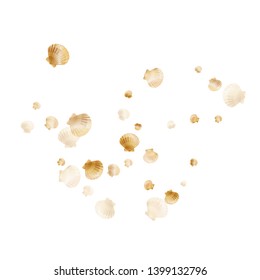 Gold seashells vector, golden pearl bivalved mollusks. Aquatic scallop, bivalve pearl shell, marine mollusk isolated on white wild life nature background. Rich gold sea shell vector.