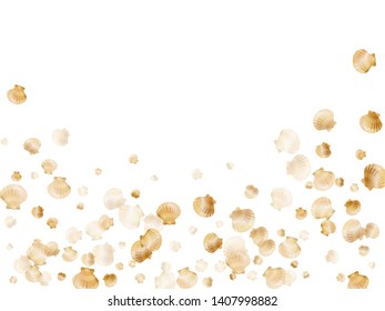 Gold seashells vector, golden pearl bivalved mollusks. Macro scallop, bivalve pearl shell, marine mollusk isolated on white wild life nature background. Trendy gold sea shell vector.