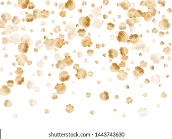 Gold seashells vector, golden pearl bivalved mollusks. Underwater scallop, bivalve pearl shell, marine mollusk isolated on white wild life nature background. Cool gold sea shell graphics.