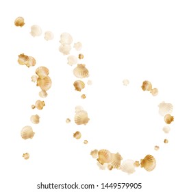 Gold seashells vector, golden pearl bivalved mollusks. Exotic scallop, bivalve pearl shell, marine mollusk isolated on white wild life nature background. Chic gold sea shell illustration.