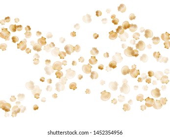 Gold seashells vector, golden pearl bivalved mollusks. Underwater scallop, bivalve pearl shell, marine mollusk isolated on white wild life nature background. Rich gold sea shell graphics.
