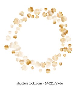 Gold seashells vector, golden pearl bivalved mollusks. Sea scallop, bivalve pearl shell, marine mollusk isolated on white wild life nature background. Rich gold sea shell design.
