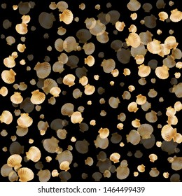 Gold seashells vector, golden pearl bivalved mollusks. Ocean scallop, bivalve pearl shell, marine mollusk isolated on black wild life nature background. Cool gold sea shell illustration.