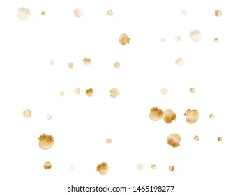Gold seashells vector, golden pearl bivalved mollusks. Sea scallop, bivalve pearl shell, marine mollusk isolated on white wild life nature background. Cool gold sea shell vector.