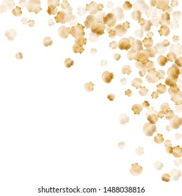 Gold seashells vector, golden pearl bivalved mollusks. Macro scallop, bivalve pearl shell, marine mollusk isolated on white wild life nature background. Stylish gold sea shell design.