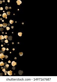 Gold seashells vector, golden pearl bivalved mollusks. Ocean scallop, bivalve pearl shell, marine mollusk isolated on black wild life nature background. Rich gold sea shell design.