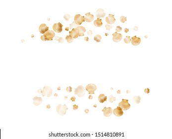 Gold seashells vector, golden pearl bivalved mollusks. Macro scallop, bivalve pearl shell, marine mollusk isolated on white wild life nature background. Stylish gold sea shell design.