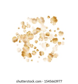 Gold seashells vector, golden pearl bivalved mollusks. Exotic scallop, bivalve pearl shell, marine mollusk isolated on white wild life nature background. Stylish gold sea shell graphics.