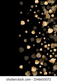Gold seashells vector, golden pearl bivalved mollusks. Sea scallop, bivalve pearl shell, marine mollusk isolated on black wild life nature background. Rich gold sea shell graphics.
