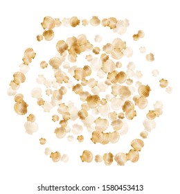 Gold seashells vector, golden pearl bivalved mollusks. Cartoon scallop, bivalve pearl shell, marine mollusk isolated on white wild life nature background. Trendy gold sea shell design.