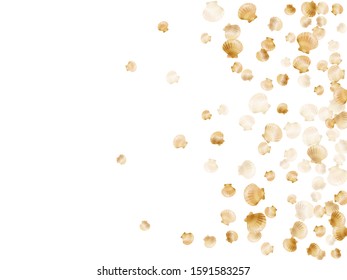 Gold seashells vector, golden pearl bivalved mollusks. Ocean scallop, bivalve pearl shell, marine mollusk isolated on white wild life nature background. Trendy gold sea shell illustration.