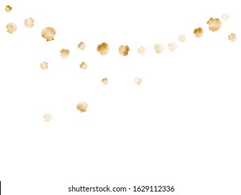 Gold seashells vector, golden pearl bivalved mollusks. Macro scallop, bivalve pearl shell, marine mollusk isolated on white wild life nature background. Stylish gold sea shell vector.