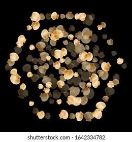 Gold seashells vector, golden pearl bivalved mollusks. Ocean scallop, bivalve pearl shell, marine mollusk isolated on black wild life nature background. Rich gold sea shell design.