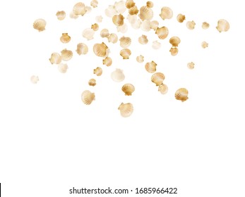 Gold seashells vector, golden pearl bivalved mollusks. Ocean scallop, bivalve pearl shell, marine mollusk isolated on white wild life nature background. Trendy gold sea shell vector.