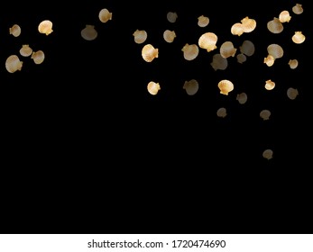Gold seashells vector, golden pearl bivalved mollusks. Cartoon scallop, bivalve pearl shell, marine mollusk isolated on black wild life nature background. Rich gold sea shell graphics.