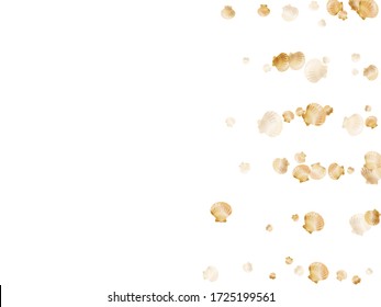 Gold Muscheln Vektor, goldene Perle bivalved Mollusken. Exotische Jakobsmuschel, Perlmuschel, Meeresmuschel, isoliert auf weißem, wildem Hintergrund der Natur. Chic Gold Sea Shell Design.