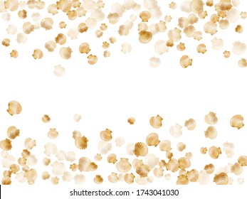 Gold seashells vector, golden pearl bivalved mollusks. Macro scallop, bivalve pearl shell, marine mollusk isolated on white wild life nature background. Trendy gold sea shell illustration.