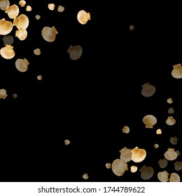 Gold seashells vector, golden pearl bivalved mollusks. Ocean scallop, bivalve pearl shell, marine mollusk isolated on black wild life nature background. Chic gold sea shell illustration.