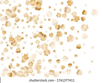 Gold seashells vector, golden pearl bivalved mollusks. Oceanic scallop, bivalve pearl shell, marine mollusk isolated on white wild life nature background. Stylish gold sea shell illustration.