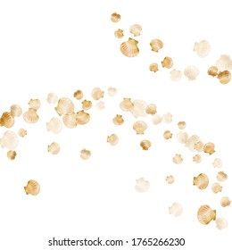 Gold seashells vector, golden pearl bivalved mollusks. Cartoon scallop, bivalve pearl shell, marine mollusk isolated on white wild life nature background. Chic gold sea shell vector.